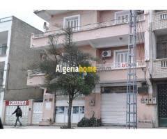 Vente Bien Immobilier Guelma Guelma Immobilier Algerie Annonces Immobilieres Algeriahome Com Bien Immobilier Vendre Appartement Louer Un Appartement