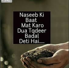 Maybe you would like to learn more about one of these? Pin On Iamhja Com