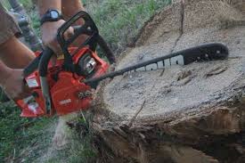 Maybe you would like to learn more about one of these? Echo Cs 400 Chainsaw Review Pro Tool Reviews
