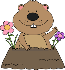 Groundhog day and transparent png images free download. Spring Groundhog Clip Art Spring Groundhog Image Groundhog Day Activities Happy Groundhog Day Groundhog Day