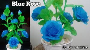 Proses osmosis adalah proses penyerapan warna dari ujung batang bunga. Cara Membuat Bunga Mawar Biru Dari Plastik Kresek Ll How To Make Blue Rose From Plastic Bag Youtube