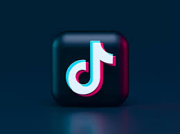 Tiktok Como Ganhar Dinheiro Com A Rede Social Tudo Sobre Creator Fund