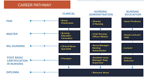 Bachelor in nursing (hons), at international medical university in ,. Diploma In Nursing Rsdh College