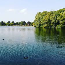 30º Celcius And The Swiming Area Of Hildesheim S Hohnsensee Is Closed Let Me Guess It S Operated By The City Hildeshei Swiming Pool Outdoor Instagram Posts