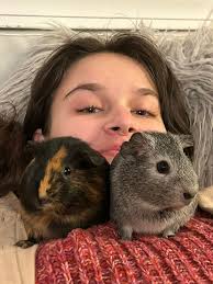 Why do pigmys have such long ears🤣🤣🤣