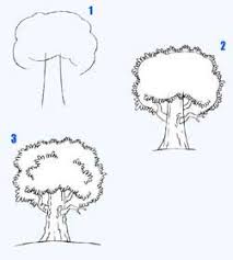 Learn How To Draw Trees Tree Drawings Pencil Realistic Drawings Tree Drawing