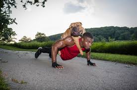 7 Exercises For At Home Workouts With Your Dog
