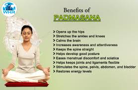 Padmasana Yoga The Padmasana And What Are Its Benefits Note Note Consult A Doctor Before Beginning An Doctor Visit Book Hospital Hospital Doctor
