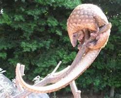 The Heavily Armored Pangolin Aka The Steroid Induced Cousin Of The Armadillo Pangolin Animal Conservation Weird Creatures