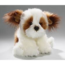 Te ensino a ter um mais educado equilibrado saudável e feliz ➕são mais de 2.5k tutores mudando a vida dos seus clique abaixo ⬇️ para se inscrever linktr.ee/mundoshihtzus. Zittende Knuffel Shih Tzu Hond 24 Cm Fun En Feest