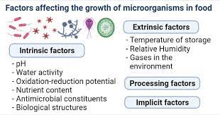Pin On Microbiology Notes