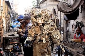 Image result for Congolanthus