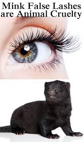 Pin By Emily Terpstra On Animals False Lashes Mink Eyelashes Eyelash Extensions