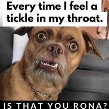 Restrictions have eased in regional victoria this morning. Viral Medical Memes The Medical Republic