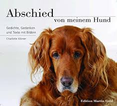 Hund Gestorben Was Nun Hunde Fande