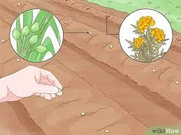 Maybe you would like to learn more about one of these? How To Protect Your Garden From Insects 12 Ways To Keep Bugs From Eating Your Plants