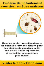 Epingle Sur Punaise De Lit