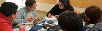 Information about the student such as emergency contacts, medical and language information will be collected. Estudiantes Universidad De Santiago De Chile