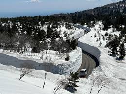 Image result for Hakkoda Walk