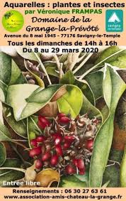 Plantes Et Insectes Exposition Des Aquarelles De Veronique Frampas Savigny Le Temple 77 Https Www Pariscotejardin Fr 2 En 2020 Savigny Le Temple Plante Verone