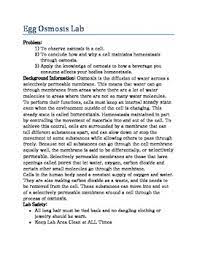 Osmosis through a cell membrane of an egg. Egg Osmosis Inquiry Lab Everything Included By Karon Decker Tpt