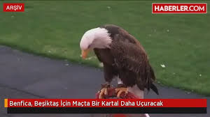 Beşiktaş ürünleri siyah beyazlı renklere tutkun taraftarlar için birbirinden özel modeller içerir. Benfica Besiktas Icin Macta Bir Kartal Daha Ucuracak Izlesene Com