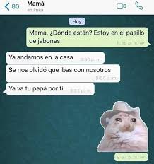 Conversaciones Whatsapp Memes En 2020 Memes Divertidos Memes Meme Divertido