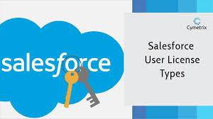 You are able to set how long a user is locked out of their account, from 15 minutes to forever. Characteristics Of Salesforce Licensing By Cymetrix Software Medium