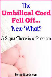 Your Baby S Umbilical Cord Fell Off Early 5 Signs There Is A Problem Baby Umbilical Cord New Baby Products Newborn Hacks