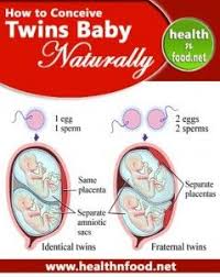 How To Conceive Twins Baby Increase Your Chances Of Having Twins Getting Pregnant With Twins How To Conceive How To Conceive Twins