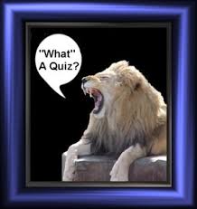 Our online big cat trivia quizzes can be adapted to suit your requirements for taking some of the top big cat quizzes. Big Cat Quiz