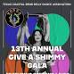 13th Annual Give A Shimmy Gala