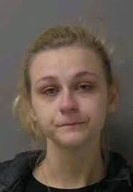 MILTON — Milton police are investigating the death of a three-day-old baby  who was buried in the backyard of a Milton home, according to a search  warrant.