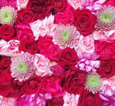 You have rose bouquet images for new year 2020 and love smileys gif stickers and more like 4k backgrounds and beautiful flowers bouquet glitter. Beautiful Flowers Stock Photo Eb3e110c 3605 40b8 Bde7 7dedd1c2a998