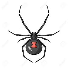 Someone watching a black widow eating her mate saying, on the positive side, male black widow spiders don't have to worry about. Black Widow Spider Icon In Cartoon Design Isolated On White Background Royalty Free Cliparts Vectors And Stock Illustration Image 67724037