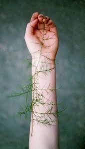 Pin By Julie Bennett On Hold My Hand Photography Three Rivers Deep Photo