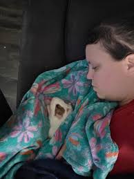 I had to say goodbye to my furbaby Daisy today! 😭