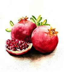 Pomegranate Fruits Aquarelle Dessin Legumes Tutoriels Peinture Aquarelle