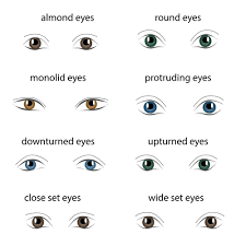 By combining different colors, textures, and finishes you can create different eye shapes that will help you switch up your daily routine. 8 Different Types Of Eye Shapes Types Of Eyes Types Of Eye Shapes Different Types Of Eyes