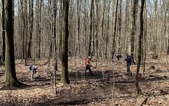 McCarty Hill State Forest Trail Work Day