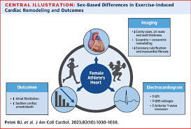 Impact of Sex on Cardiovascular Adaptations to Exercise: JACC Review Topic  of the Week | JACC