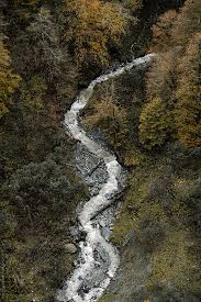 From Above View Of Fast Flow Of Creek Water On Rocks Among Autumnal Trees In Woods Water Photo Outdoor