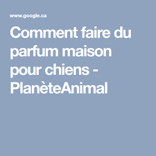 Comment Faire Du Parfum Maison Pour Chiens Maison Pour Chien Parfum Maison Comment Faire