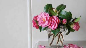 Making Arrangements Captivating Camellias Grow Beautifully Flower Arrangements Paper Flower Kit Flower Tea