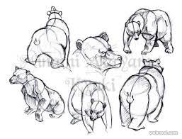 We did not find results for: 25 Beautiful Animal Drawings For Your Inspiration How To Draw Animals