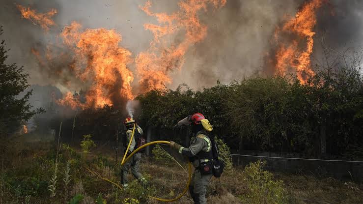 Smoke fills skies in Spain as wildfires spread