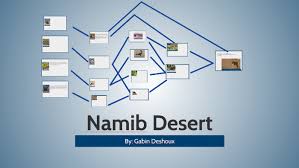 The camera does not make a sound or flash so does not disturb the animals. Namibia Desert Food Web By Gabin Deshoux