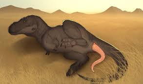 Nakatakoi hentai videos, GIFs, and images | R34.app