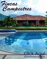 Además de la longitud y la latitud, puedes usar códigos plus para compartir un sitio sin una dirección. Informacion General De Tulua Valle Del Cauca