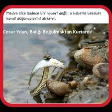 T C Idiris Gelisgen Adli Kullanicinin Durum Sozleri Panosundaki Pin Durum Sozleri